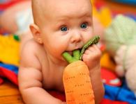 Из чего состоит рацион питания пятимесячного малыша при грудном, искусственном или смешанном вскармливании?